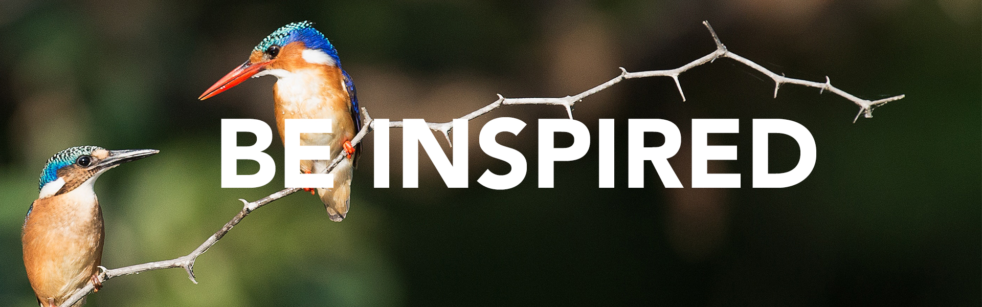 Be INspired - Matrics Hearing Aid Center